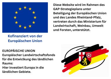 Kofinanziert von der Europäischen Union - 1