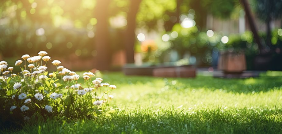 Generative AI, Beautiful summer private garden with many flowers and plants, nature landscape, english countryside cottage style Generative AI, Beautiful summer private garden with many flowers and plants, nature landscape, english countryside cottage style